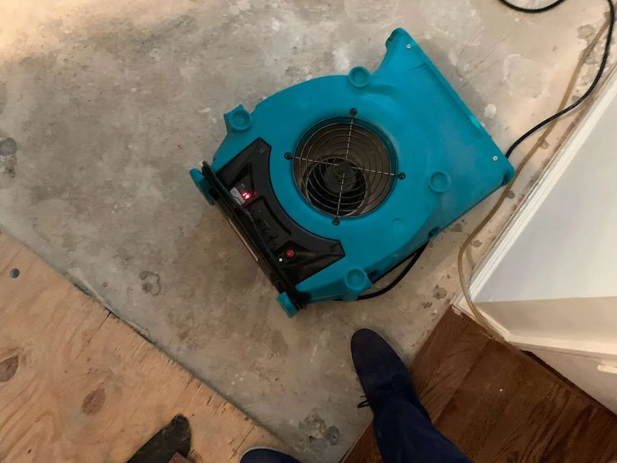 Air mover drying subfloor during Commercial Water Damage Restoration in Pahrump